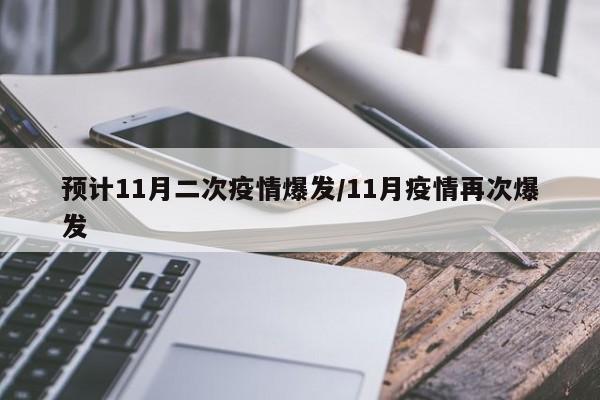 预计11月二次疫情爆发/11月疫情再次爆发